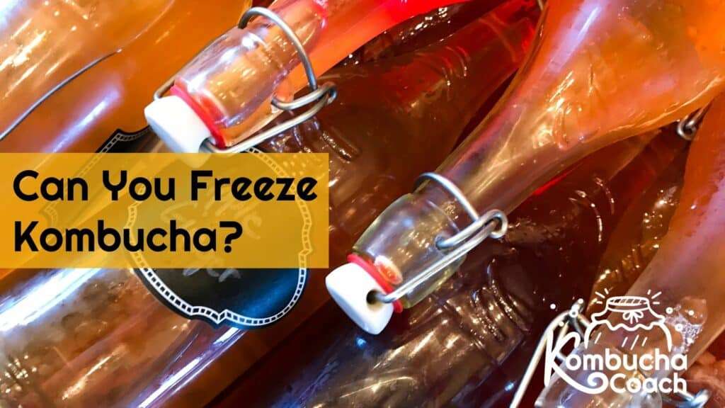 Can You Freeze Kombucha? (You Can, but Should You?)