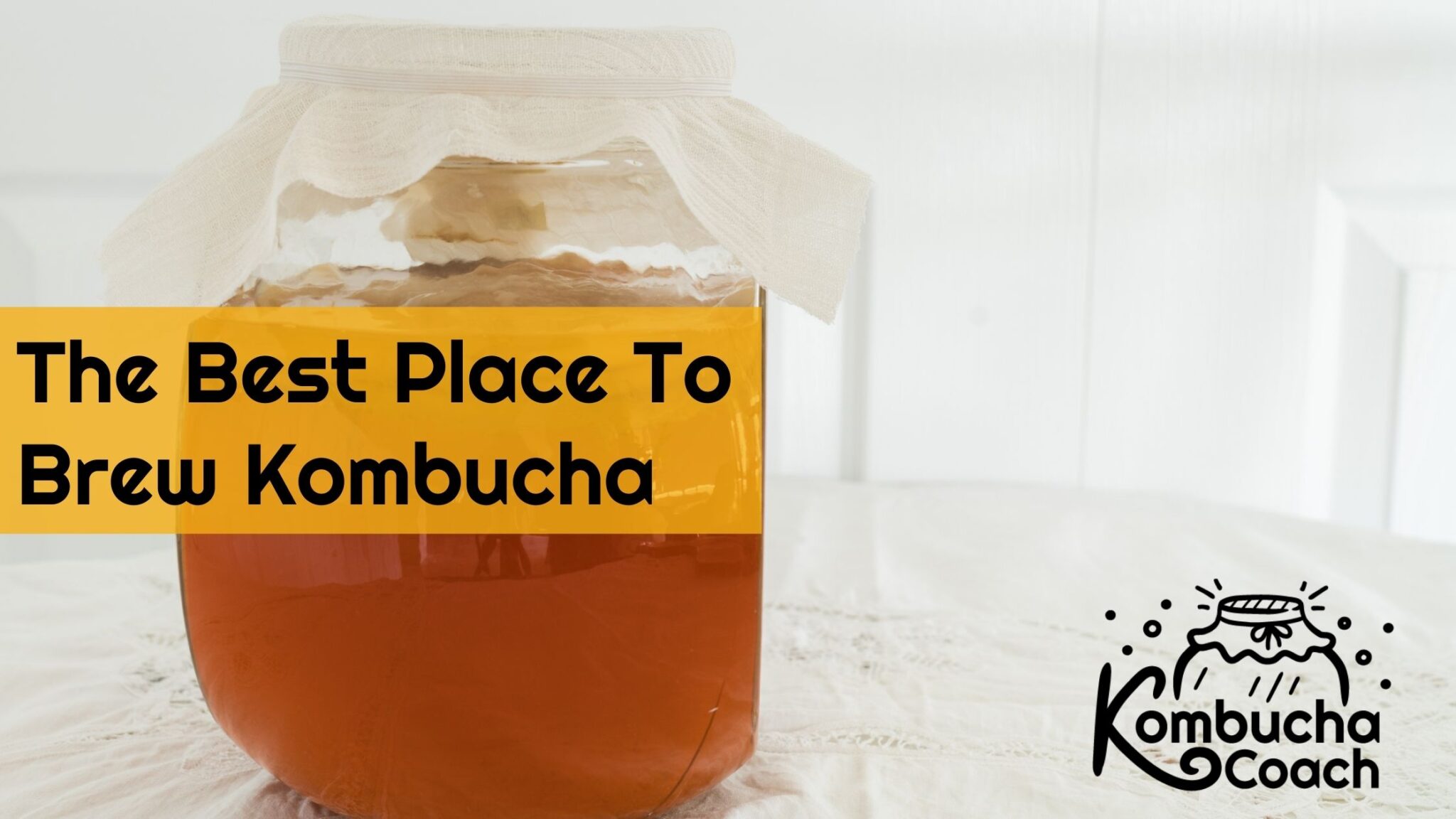 The Best Place To Brew Kombucha Where To Let It Ferment