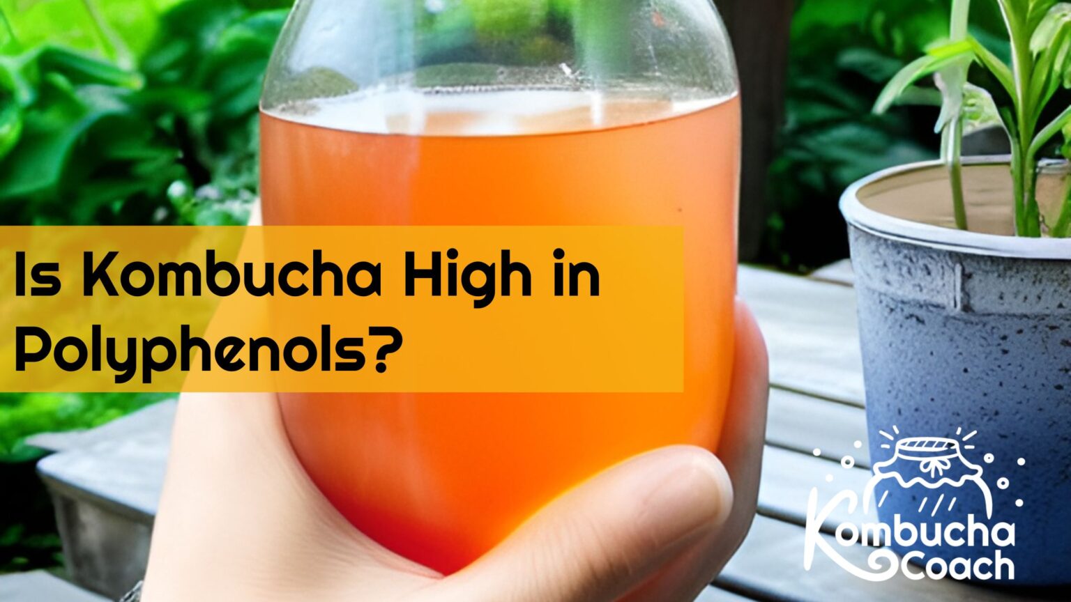Is Kombucha High in Polyphenols? Are There Health Benefits?